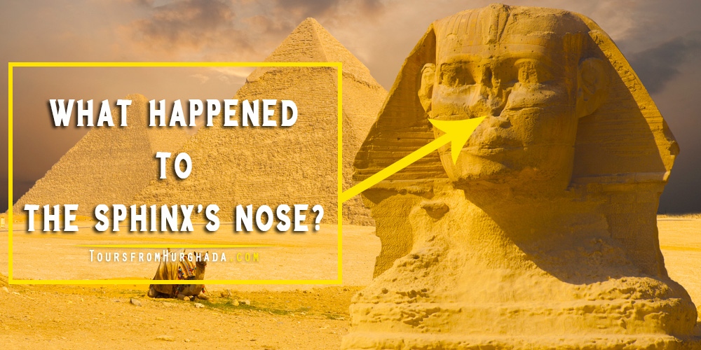 the sphinx nose