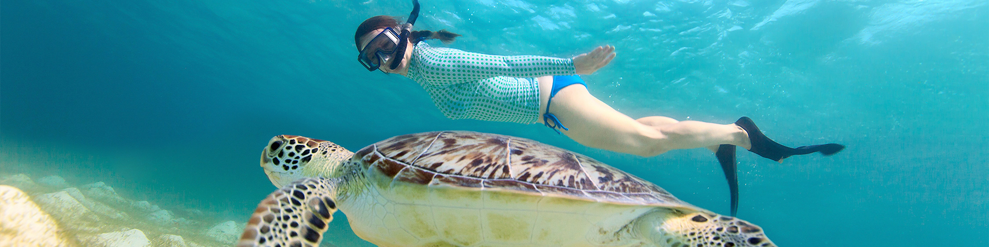 Hurghada Snorkeling Trips - Tours From Hurghada