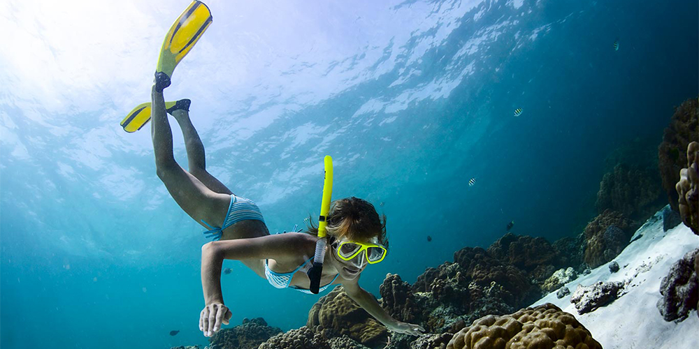 Snorkeling Tour At Hamata Island From Marsa Alam